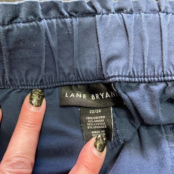 Blue Lane Bryant Slacks - Picture 4 of 8
